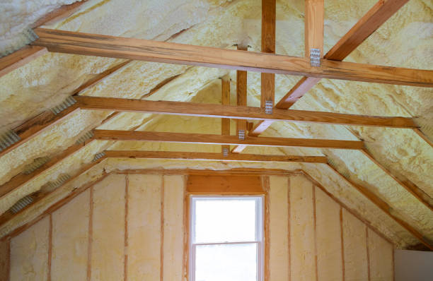 Insulation Repair Services in Meadow Woods, FL